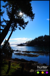 peter cove north, pender island